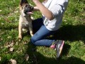 chiot-1