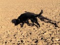 IMG_20230108_094311