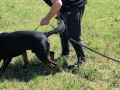 IMG_20220702_114403