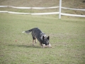 DSC_5247b.jpg