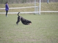 DSC_5268b.jpg