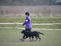 DSC_5271b.jpg