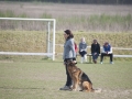 DSC_5297b.jpg