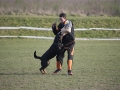 DSC_5416b.jpg