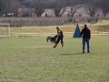 IMG_3499.JPG