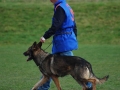 DSC_0468_resultat