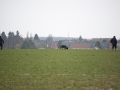 DSC_7236b