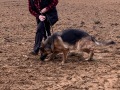 IMG_8227