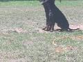 IMG_20220917_131122